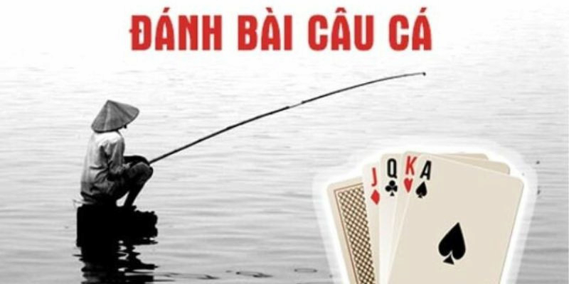 Bí quyết trở thành cao thử bài câu cá