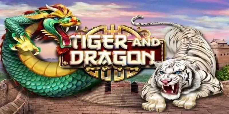 Luật chơi Dragon Tiger chi tiết cho tân thủ