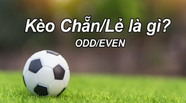 Cách đánh kèo Chẵn Lẻ hiệu quả