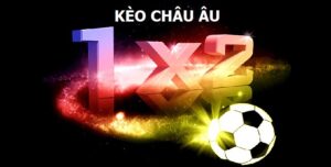 Cảnh báo quan trọng khi tập chơi kèo châu Âu