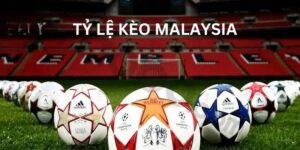 Ysb66 - Cách Tính Tỷ Lệ Kèo Malaysia Dễ Hiểu