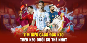 Kèo Trên Kèo Dưới Là Gì? Ysb66 Hướng Dẫn Đọc Kèo Chốt Win