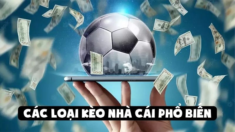 Các Loại Kèo Nhà Cái Cơ Bản Cho Người Mới