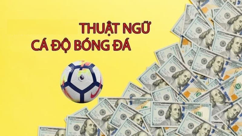 Một số Thuật Ngữ Kèo Bóng Đá Phổ Biến