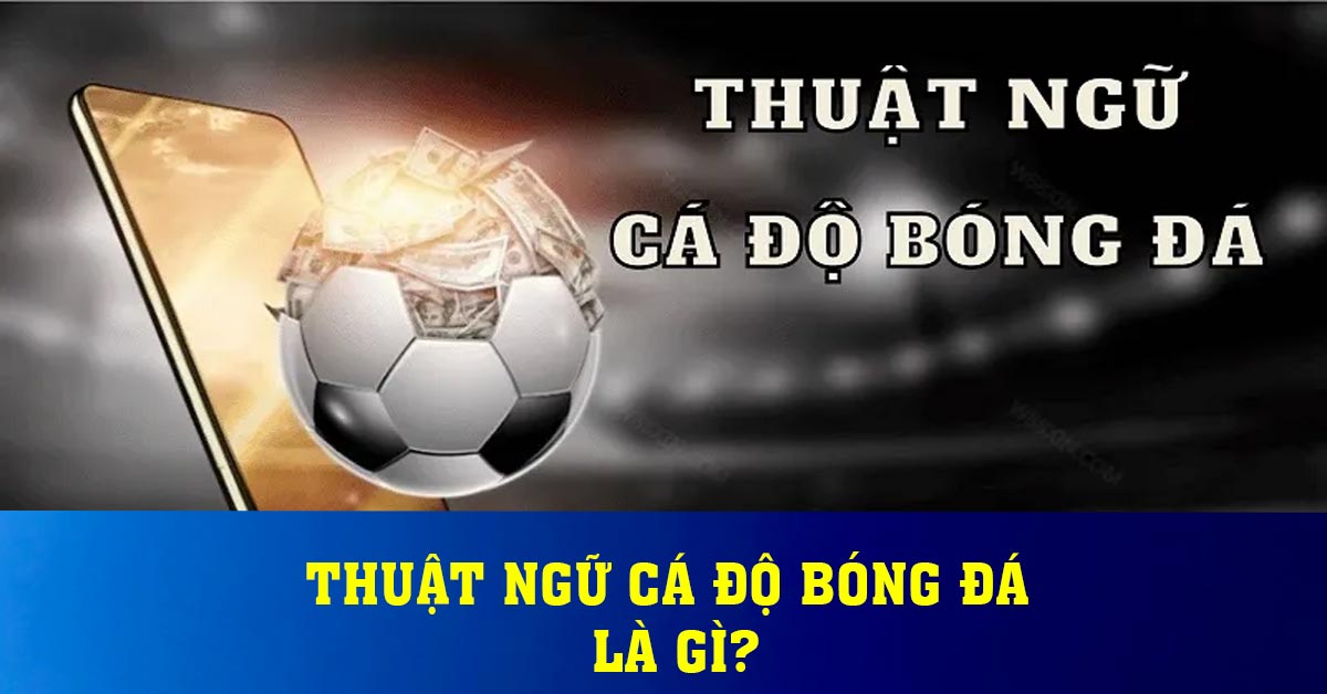 Tầm quan trọng của Thuật Ngữ Kèo Bóng Đá