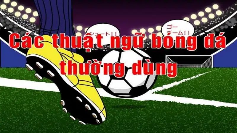Thuật Ngữ Kèo Bóng Đá Thường Gặp - Ysb66